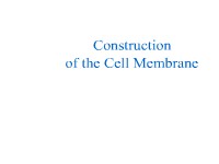 Construction of the Cell Membrane
