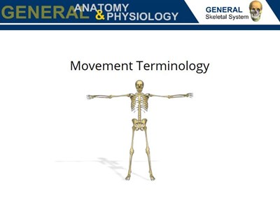 Movement Terminology