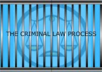 The Criminal Law Process