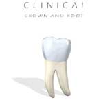 Clinical Crown and Root