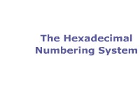 Hexadecimal Numbering System
