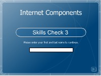 Internet Components: Skills Check 3