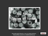 Virus Particles: Structure and Function