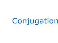 Conjugation