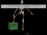 The Skeleton: Bones & Joints