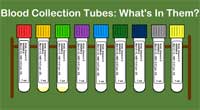Blood Collection Tubes: What's in Them? 