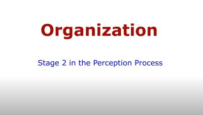 Organization:  The Second Stage in the Perception Process (Screencast)