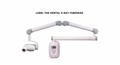 Label the Dental X-ray Tubehead (Screencast)