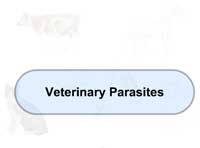 Veterinary Parasites