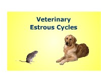 Veterinary Estrous Cycles